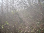 11.22.06 Cape Horn 002 